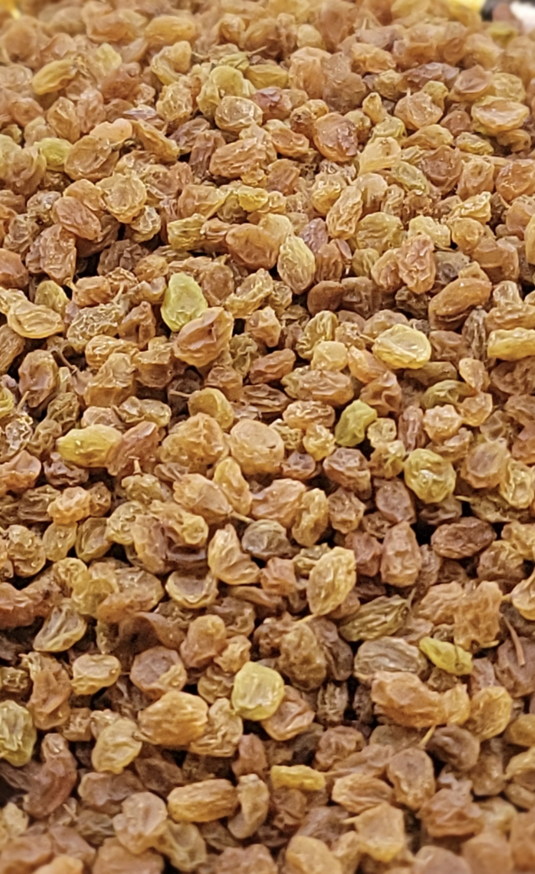 زبيب بياض بلدي ٣